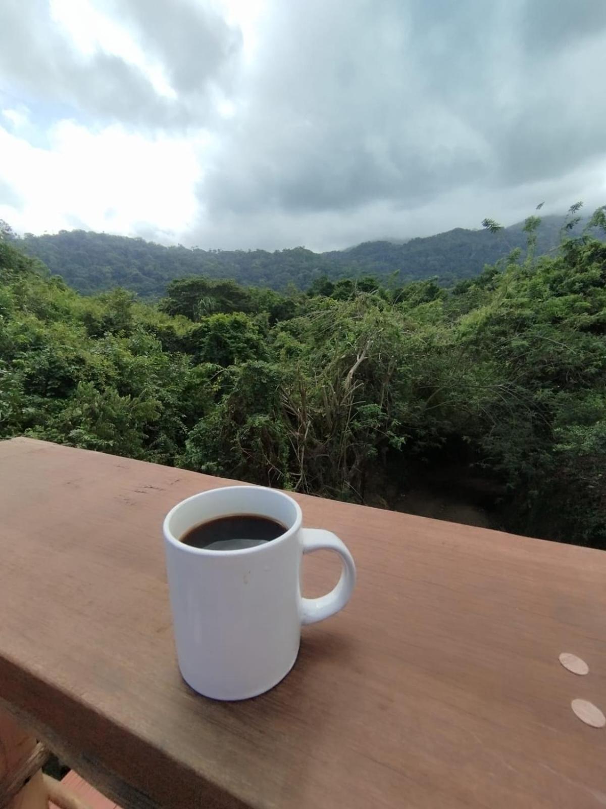 Selva Maria Tayrona's Maison d'hôtes *