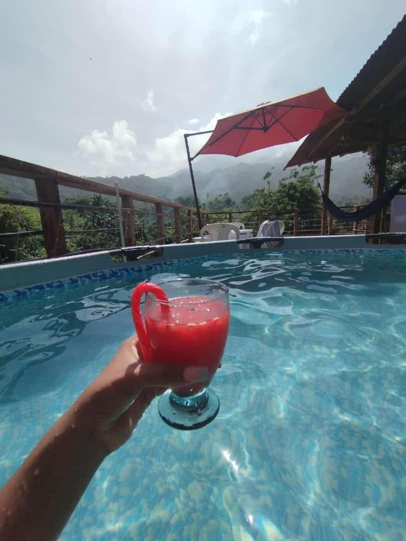 Selva Maria Tayrona's *